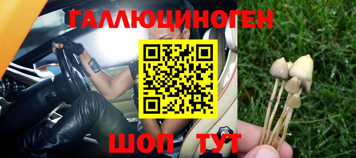 Галлюциногенные грибы GOLDEN TEACHER Хабаровск
